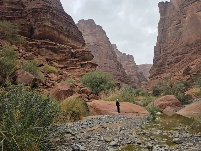 وادي الديسة جبال تبوك المملكة العربية السعودية وادي الديسة جبال تبوك المملكة العربية السعودية
