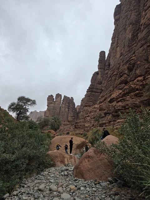 جبال تبوك الرملية والمشي الجبلي في السعودية