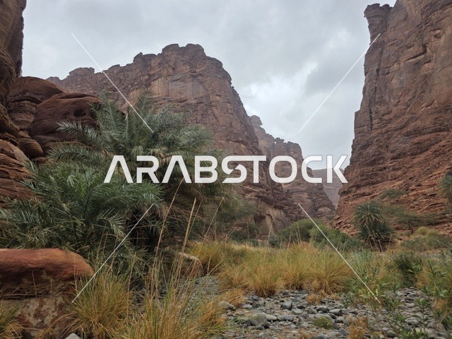 جبال تبوك الصخرية والوادي في السعودية