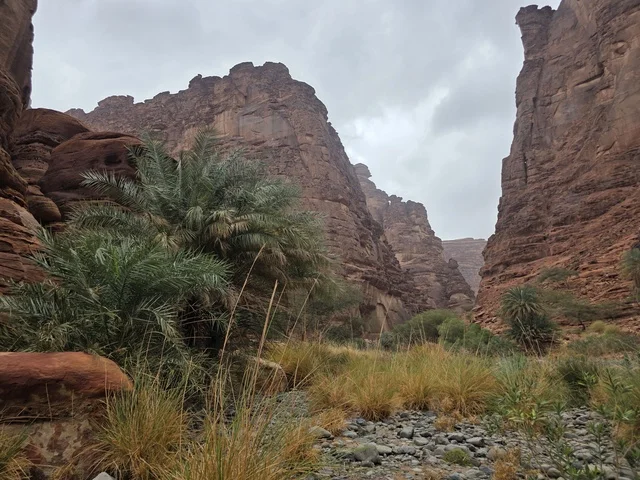 جبال تبوك الصخرية والوادي في السعودية