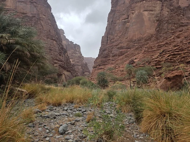 وادي الديسة تبوك جبال المملكة العربية السعودية