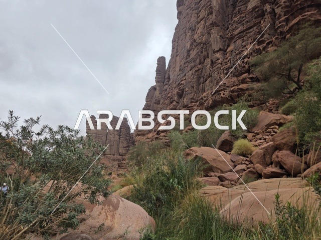 جبال تبوك الرملية الحمراء في السعودية