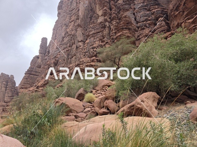 Tabuk Mountains Saudi Arabia Red Sandstone Landscape