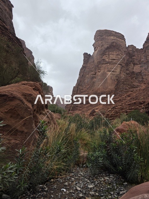 جبال تبوك الصخرية في المملكة العربية السعودية