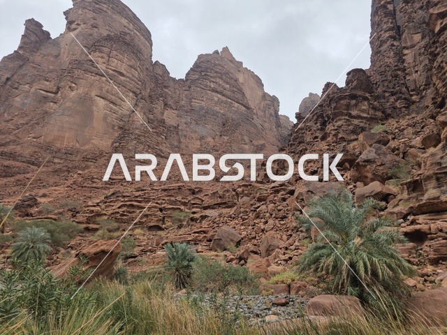 جبال تبوك السعودية وادي صخري وتشكيلات رملية