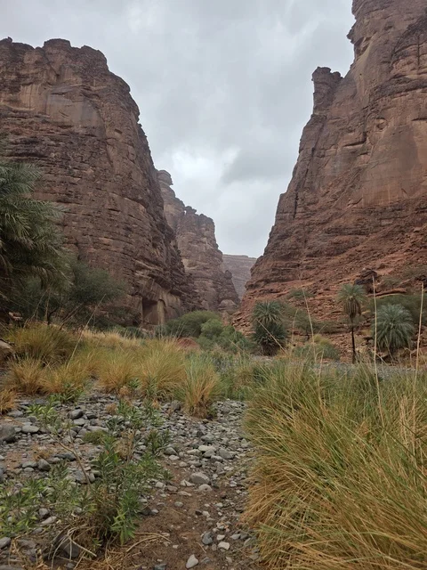 جبال وادي الديسة في منطقة تبوك بالمملكة العربية السعودية