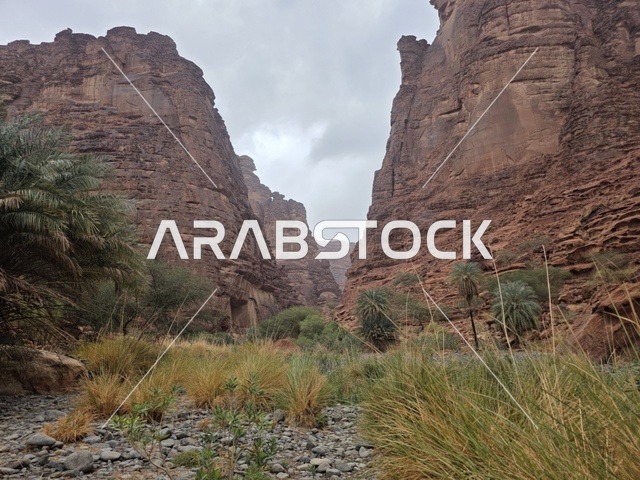 Tabuk Mountains Landscape and Rock Formations Saudi Arabia