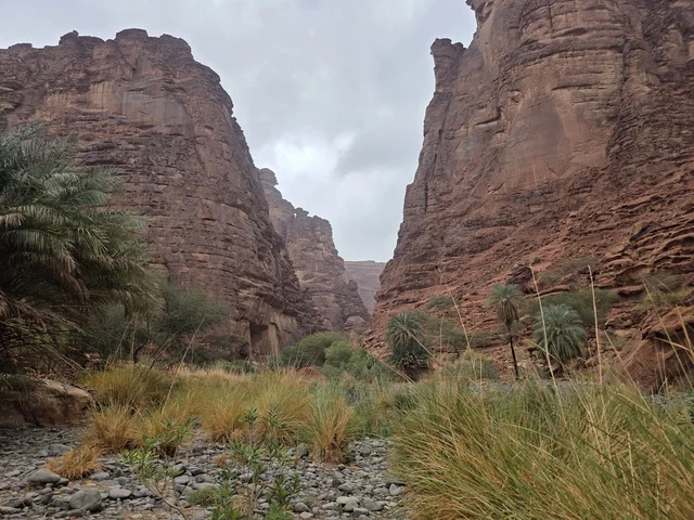 جبال تبوك والمناظر الطبيعية في المملكة العربية السعودية