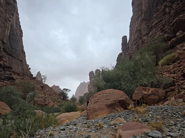 جبال تبوك السعودية تضاريس صخرية حمراء ووادي طبيعي