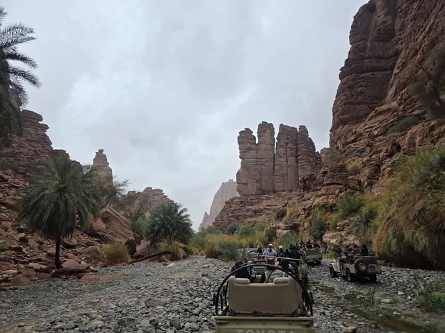 سفاري سيارات الدفع الرباعي في وادي الديسة تبوك