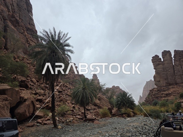 جبال تبوك ووادي النخيل في المملكة العربية السعودية