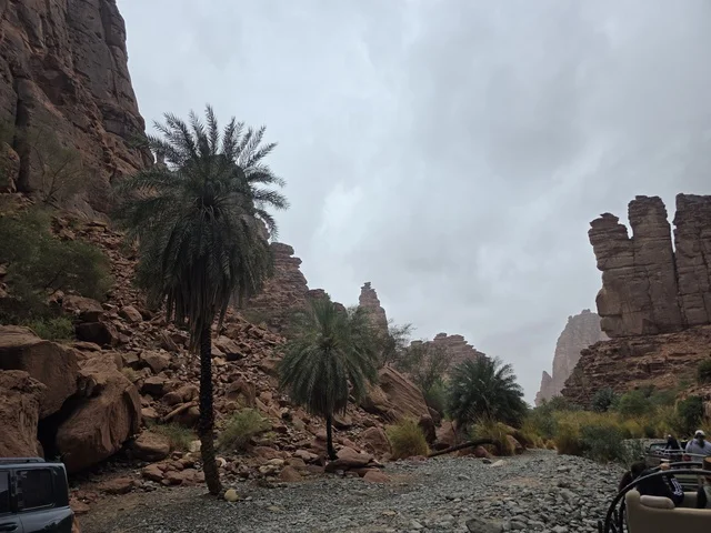 جبال تبوك ووادي النخيل في المملكة العربية السعودية