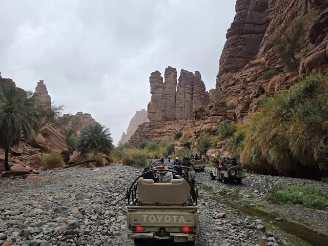 Off-Road Safari in Wadi Al-Disah Tabuk Saudi Arabia