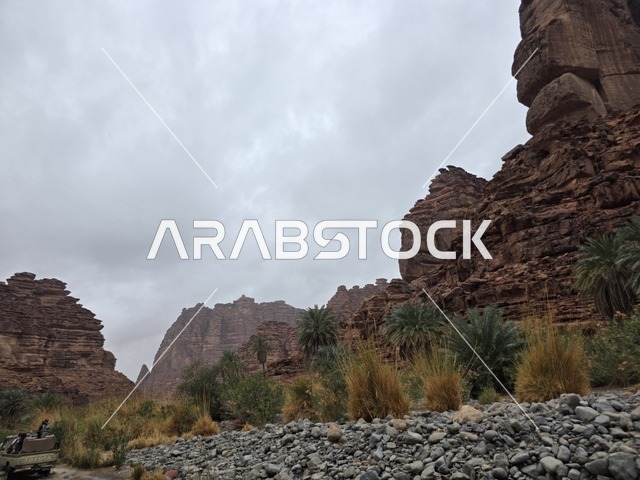 جبال تبوك الحمراء والواحة الخضراء في السعودية