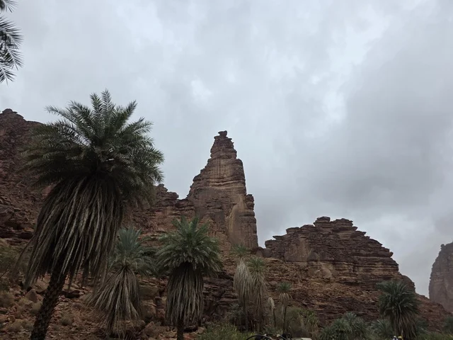 جبال تبوك السعودية وأشجار النخيل في الواحة الصحراوية