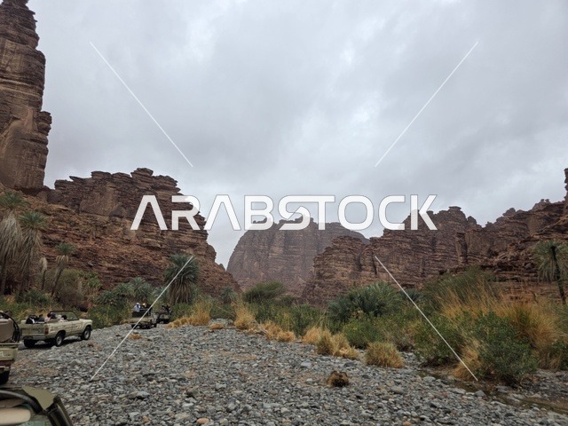 سيارات دفع رباعي في جبال تبوك السعودية