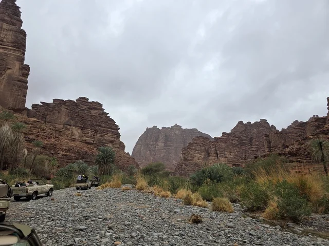 سيارات دفع رباعي في جبال تبوك السعودية