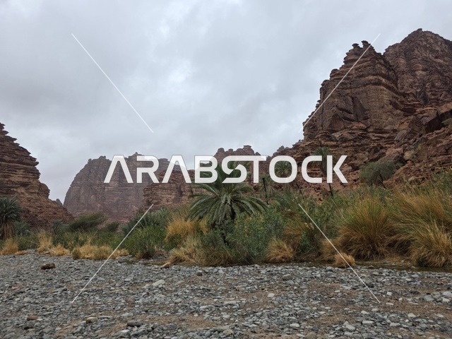 جبال تبوك وواحة صحراوية في السعودية