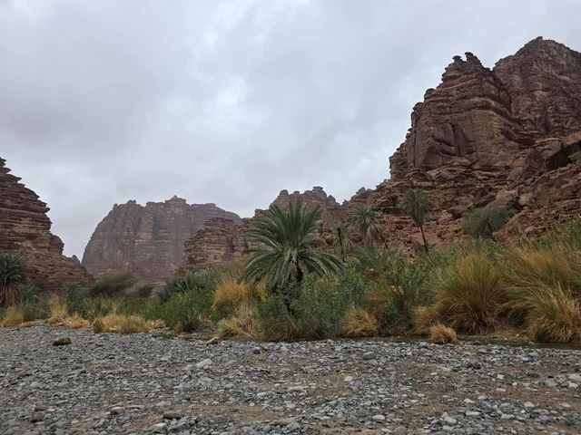 جبال تبوك وواحة صحراوية في السعودية