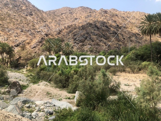 مناظر الطبيعة في جبال الطائف بالمملكة العربية السعودية