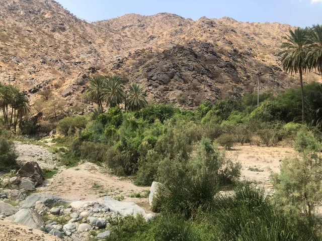 مناظر الطبيعة في جبال الطائف بالمملكة العربية السعودية