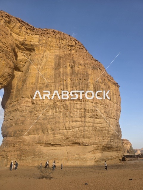 صخرة الفيل العلا المملكة العربية السعودية