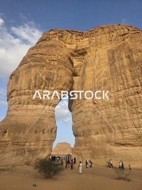 صخرة الفيل العلا السعودية معلم صحراوي طبيعي