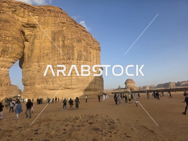 صخرة الفيل العلا المملكة العربية السعودية