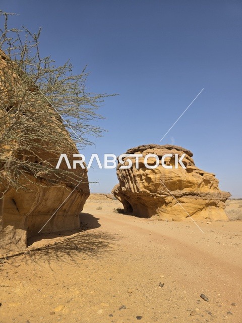 جبال العلا وتشكيلات صخرية رملية في صحراء السعودية