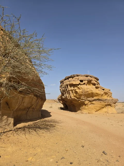 جبال العلا وتشكيلات صخرية رملية في صحراء السعودية