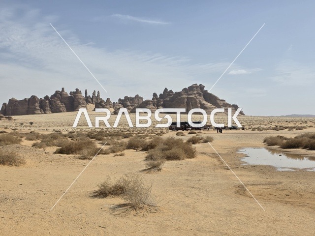 حافلات سياحية في صحراء العلا بالمملكة العربية السعودية