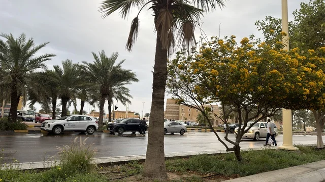 شارع حضري مبلل مع أشجار النخيل في مدينة الدمام السعودية