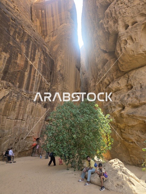 سياح في وادي العلا وبين المنحدرات الصخرية بالسعودية