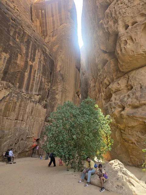 سياح في وادي العلا وبين المنحدرات الصخرية بالسعودية