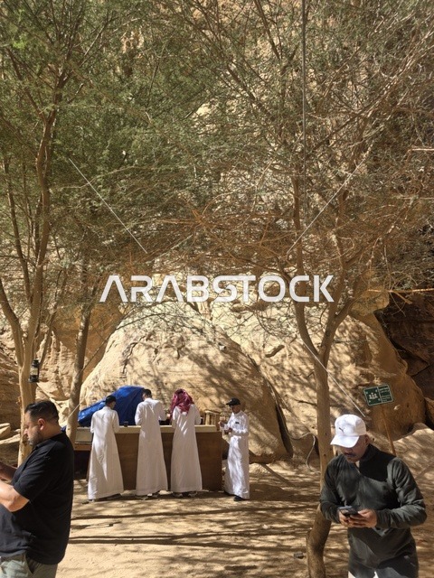 سياحة العلا مكتب خدمات تحت الأشجار نهاري في السعودية