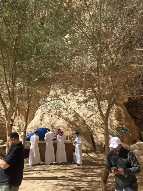 AlUla Tourism Service Desk Under Trees Sunlight Saudi Arabia