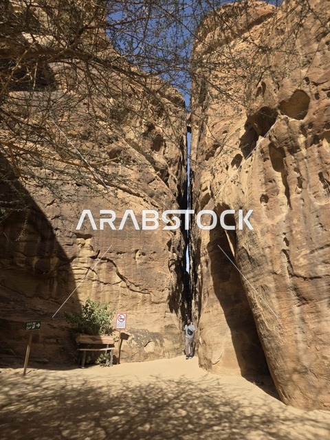 Narrow Rock Canyon in AlUla Saudi Arabia Landscape