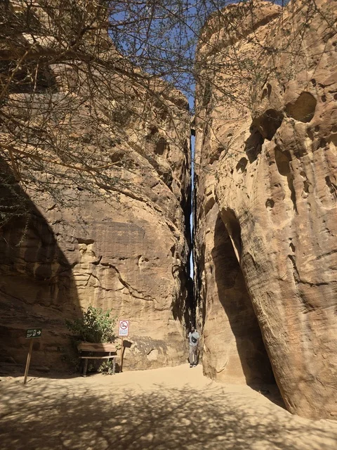 Narrow Rock Canyon in AlUla Saudi Arabia Landscape