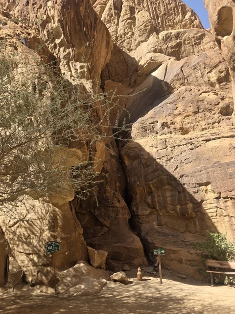 تكوينات صخرية طبيعية في جبال العلا بالسعودية