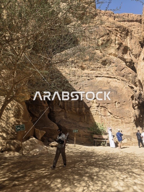 AlUla Saudi Arabia Rock Formations and Tourists