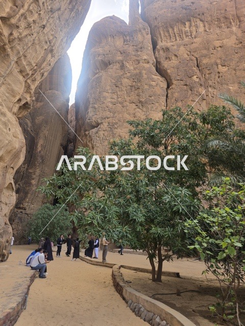سياح يتجولون في ممر جبلي في مدينة العلا السعودية