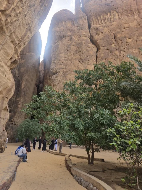 سياح يتجولون في ممر جبلي في مدينة العلا السعودية
