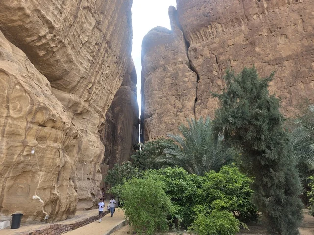 جبال وواحة العلا السياحية في السعودية