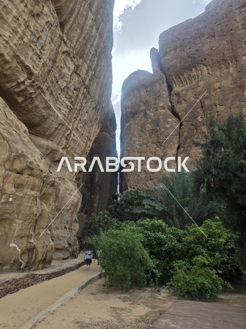 مسار وادي العلا والتكوينات الصخرية الرملية بالسعودية