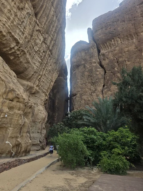 مسار وادي العلا والتكوينات الصخرية الرملية بالسعودية مسار وادي العلا والتكوينات الصخرية الرملية بالسعودية