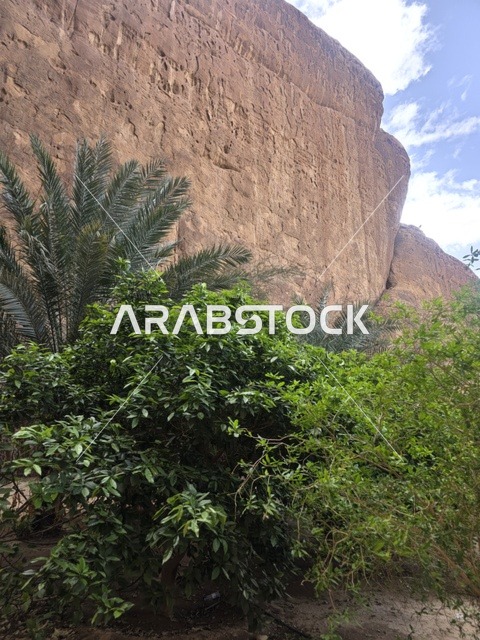 واحة العلا الخضراء والمنحدرات الصخرية الرملية