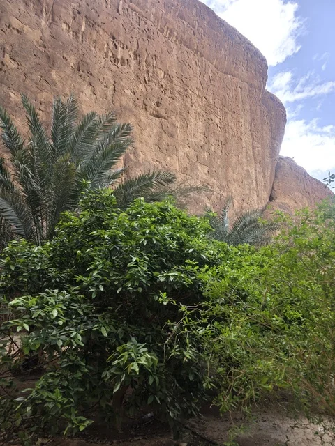 واحة العلا الخضراء والمنحدرات الصخرية الرملية