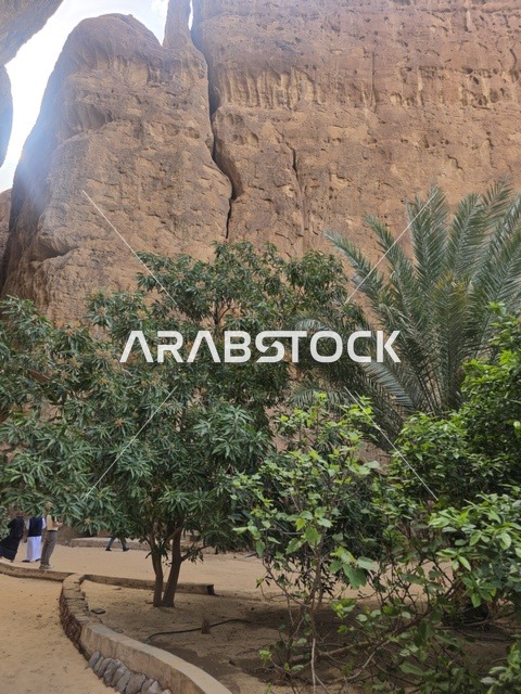 جبال العلا الرملية والأشجار الخضراء في السعودية