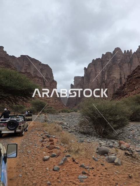 تبرز التكوينات الجبلية الرملية من أرض الصحراء في منطقة تبوك بالمملكة العربية السعودية. تخلق السماء الملبدة بالغيوم الرمادية إضاءة ناعمة ومنتشرة فوق التضاريس الصخرية البنية والأشجار الخضراء المتناثرة.