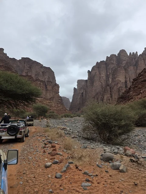 تبرز التكوينات الجبلية الرملية من أرض الصحراء في منطقة تبوك بالمملكة العربية السعودية. تخلق السماء الملبدة بالغيوم الرمادية إضاءة ناعمة ومنتشرة فوق التضاريس الصخرية البنية والأشجار الخضراء المتناثرة.